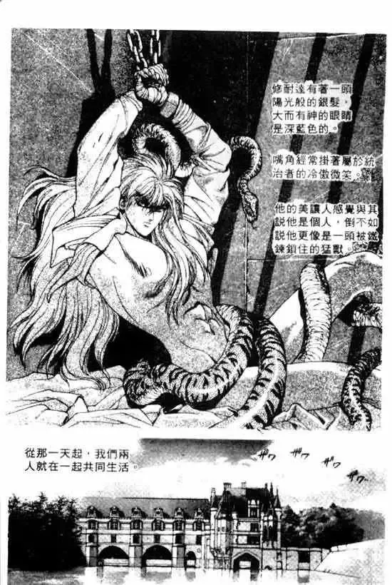 暗黑破坏神-第11卷 - 图片 6