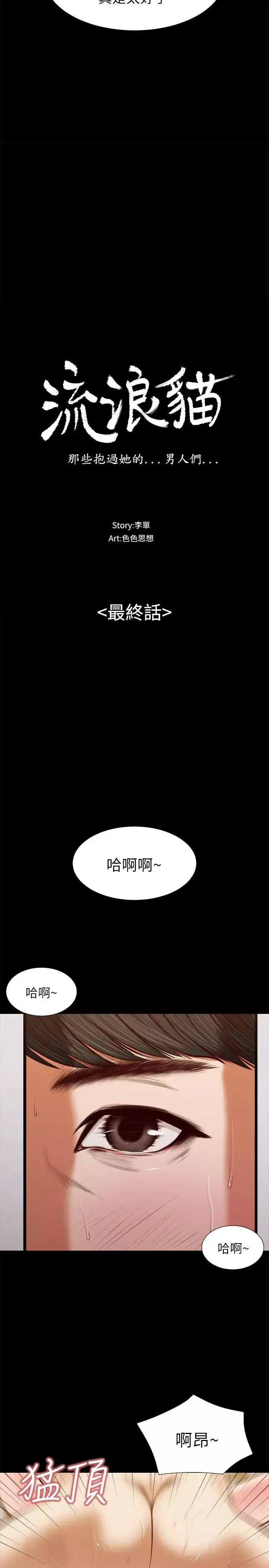 流浪貓最終話-你是天真還是傻