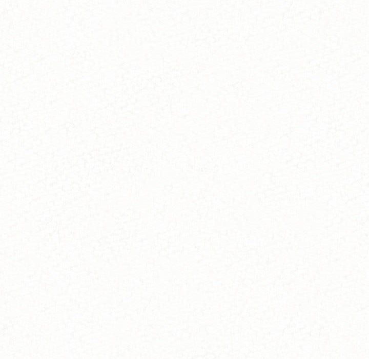 懵懂男生的戀愛史第2話