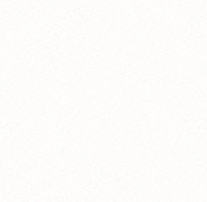 懵懂男生的恋爱史第2话