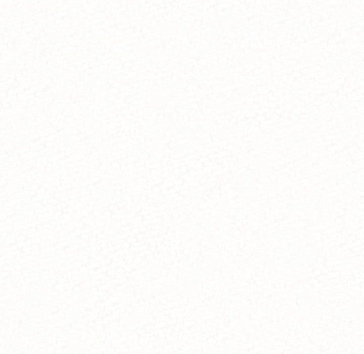 懵懂男生的戀愛史第2話