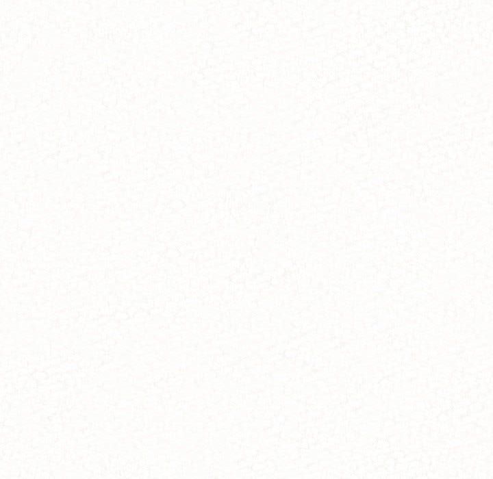 懵懂男生的戀愛史第2話