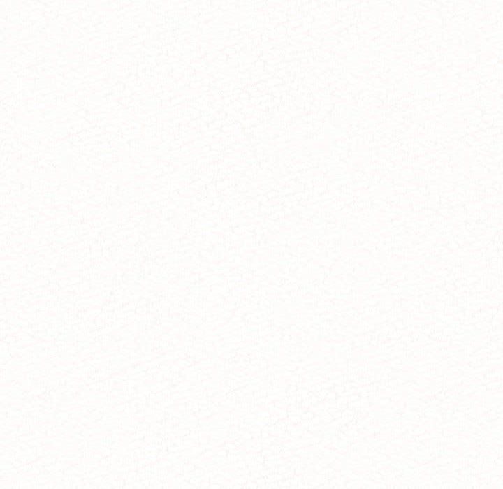 懵懂男生的恋爱史第6话