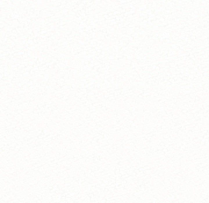 懵懂男生的恋爱史第6话