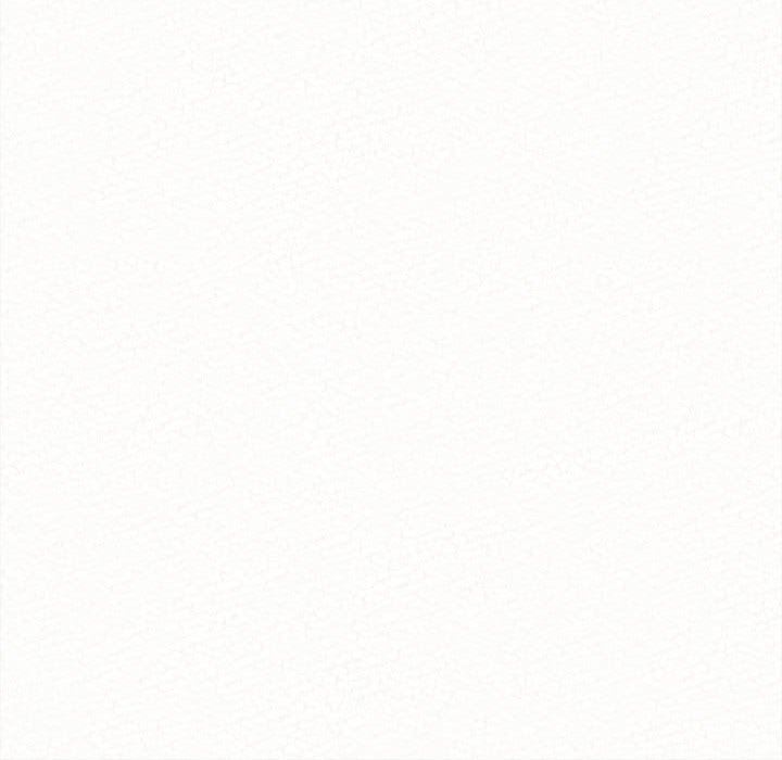 懵懂男生的恋爱史第8话