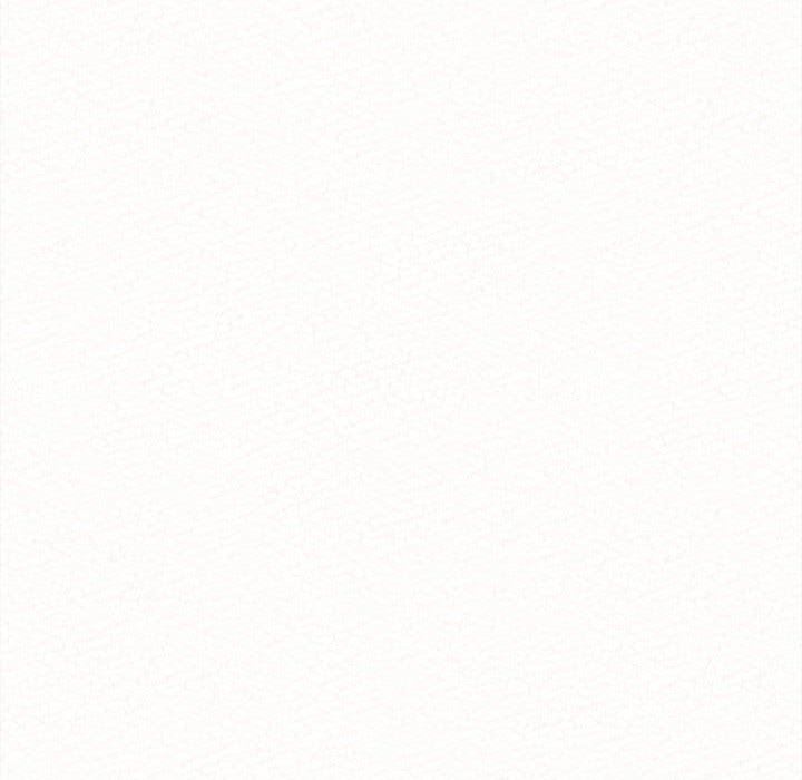 懵懂男生的恋爱史第8话