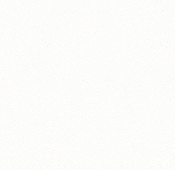 懵懂男生的恋爱史第12话