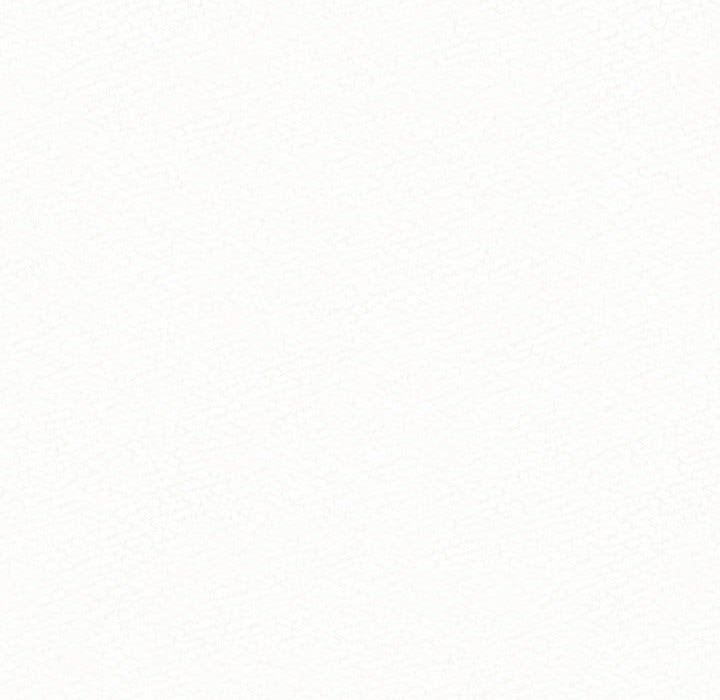 懵懂男生的恋爱史第12话