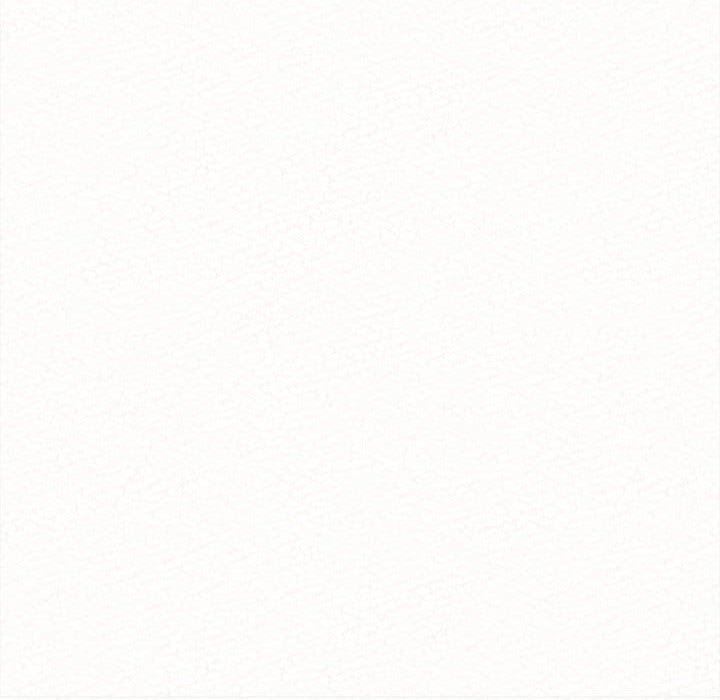 懵懂男生的恋爱史第13话