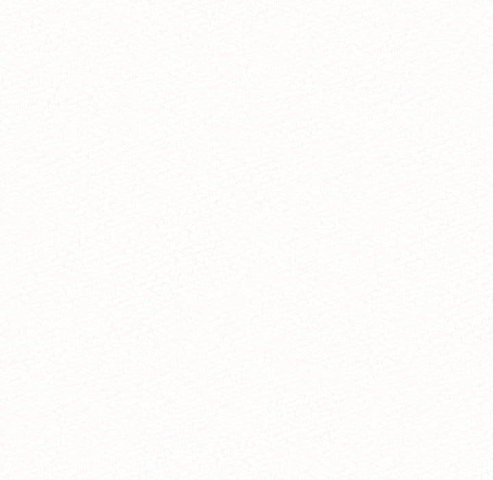 懵懂男生的戀愛史第41話