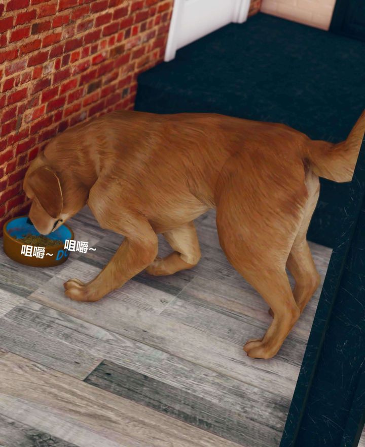 [3D]被催眠洗脑，堕落为母狗性奴的冷艷千金与总裁母亲第01话