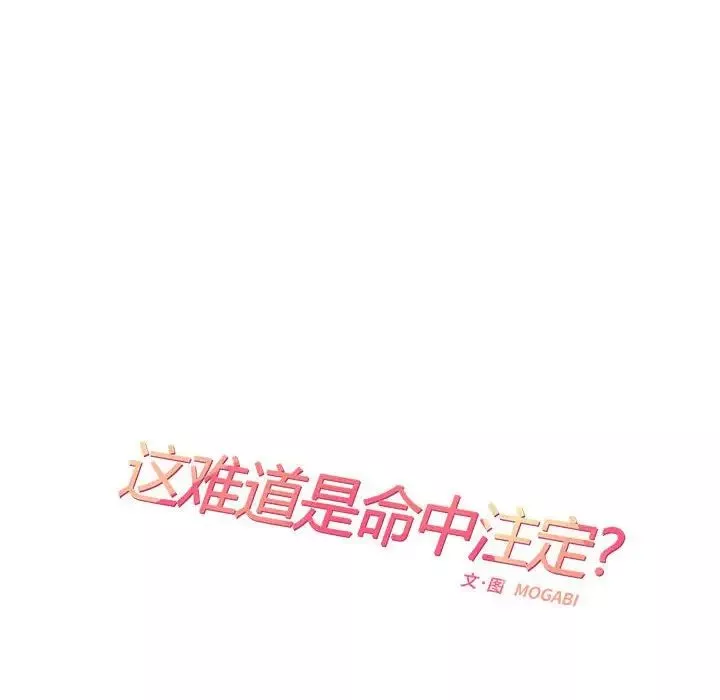 这难道是命中注定第28話