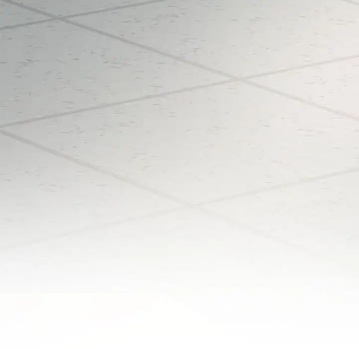 我靠升级逆袭成为大师第6話