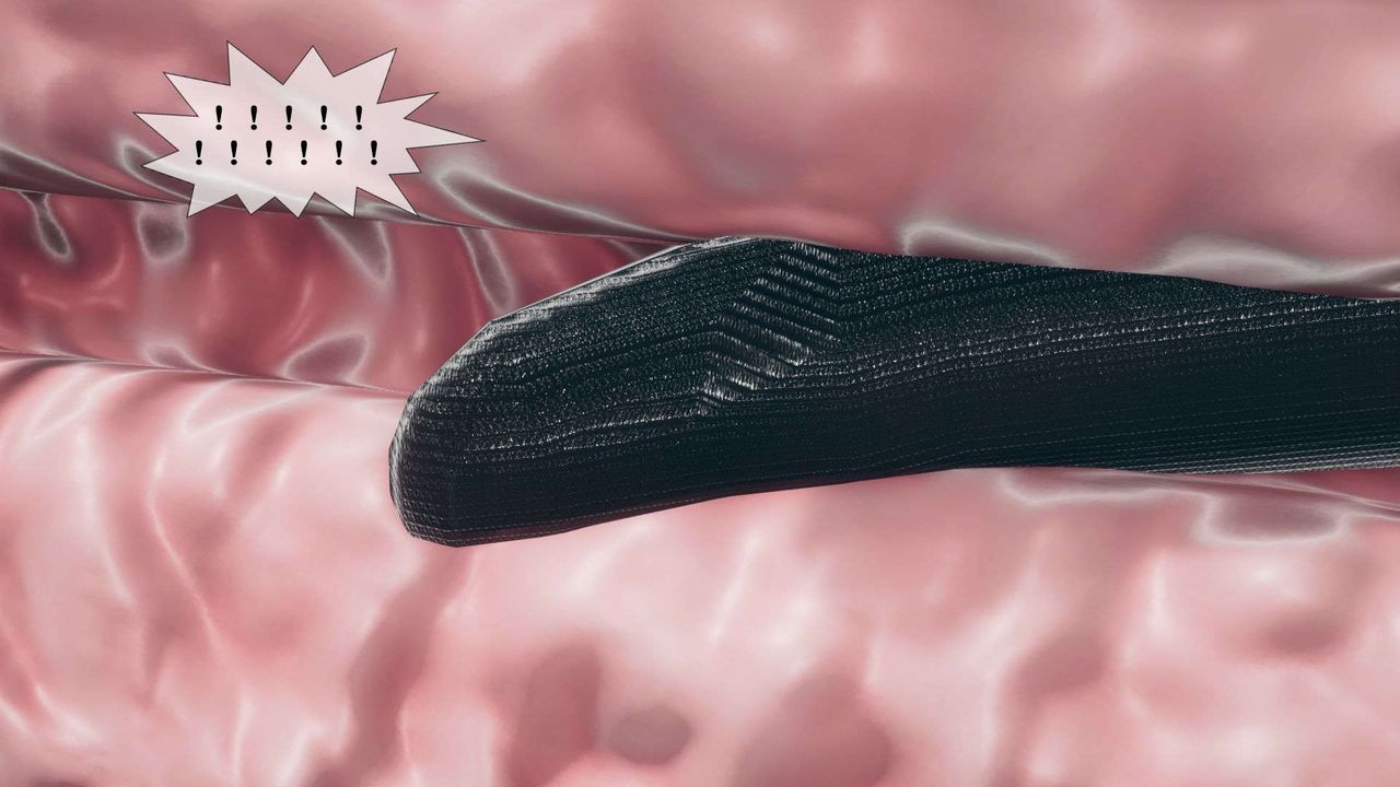 [3D]堕落hd第07話