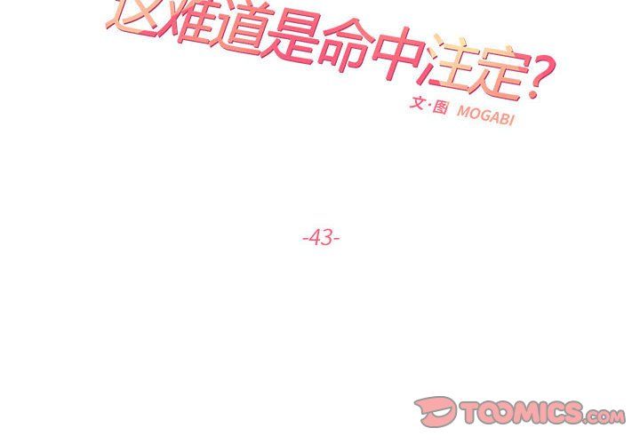 这难道是命中注定第43話