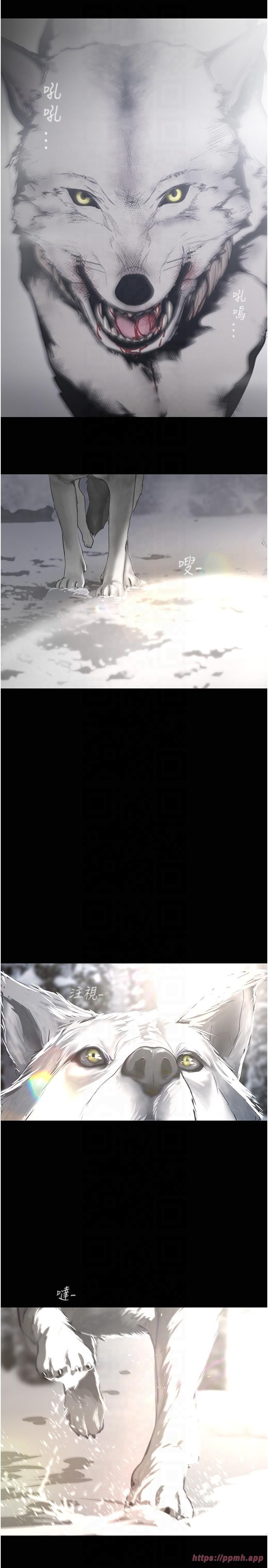 美丽新世界第262話最終話-美麗新世界