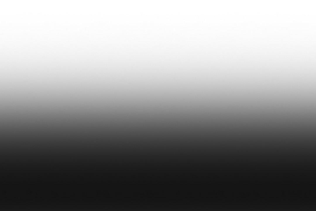 夫人的礼物第2话