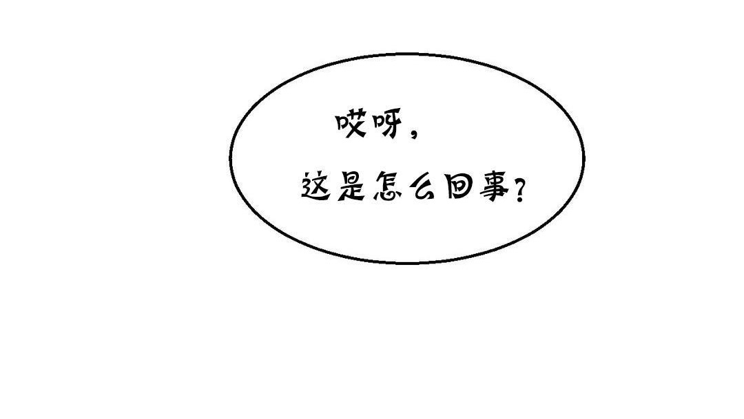 夫人的礼物第13话