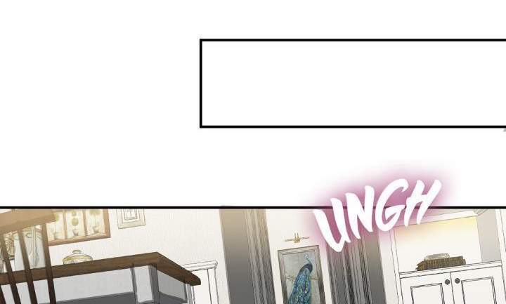 夫人的礼物第14话