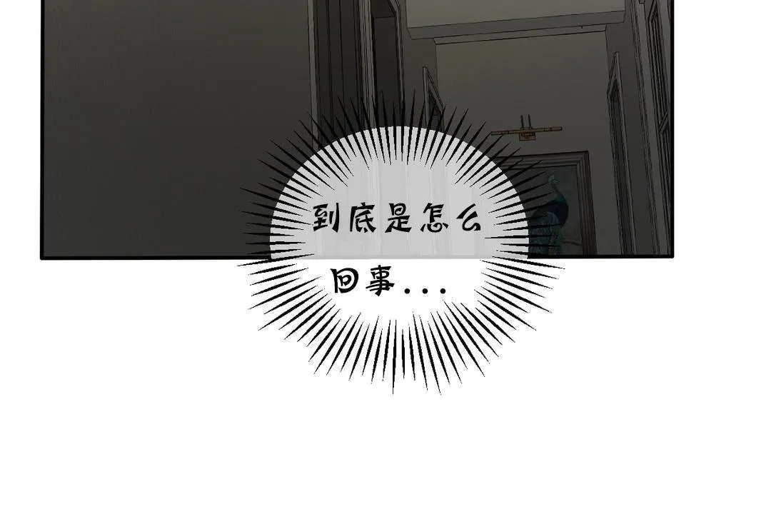 夫人的禮物第17話