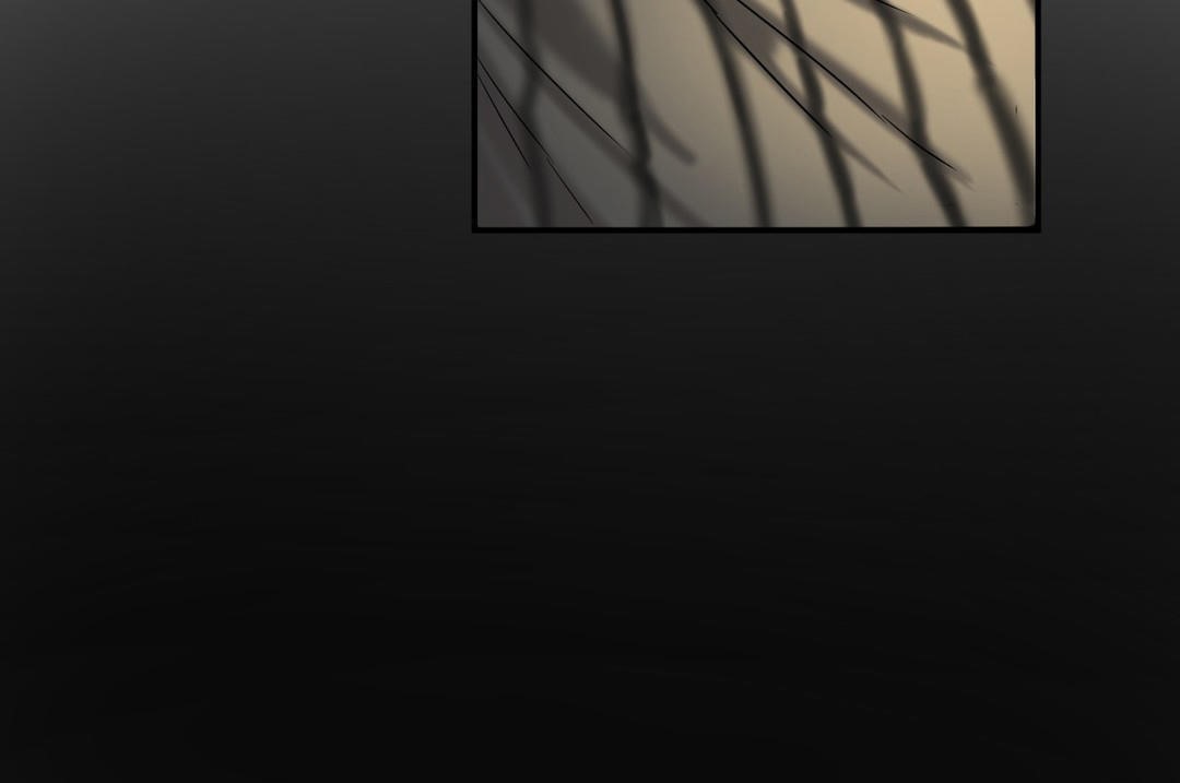 夫人的礼物第17话