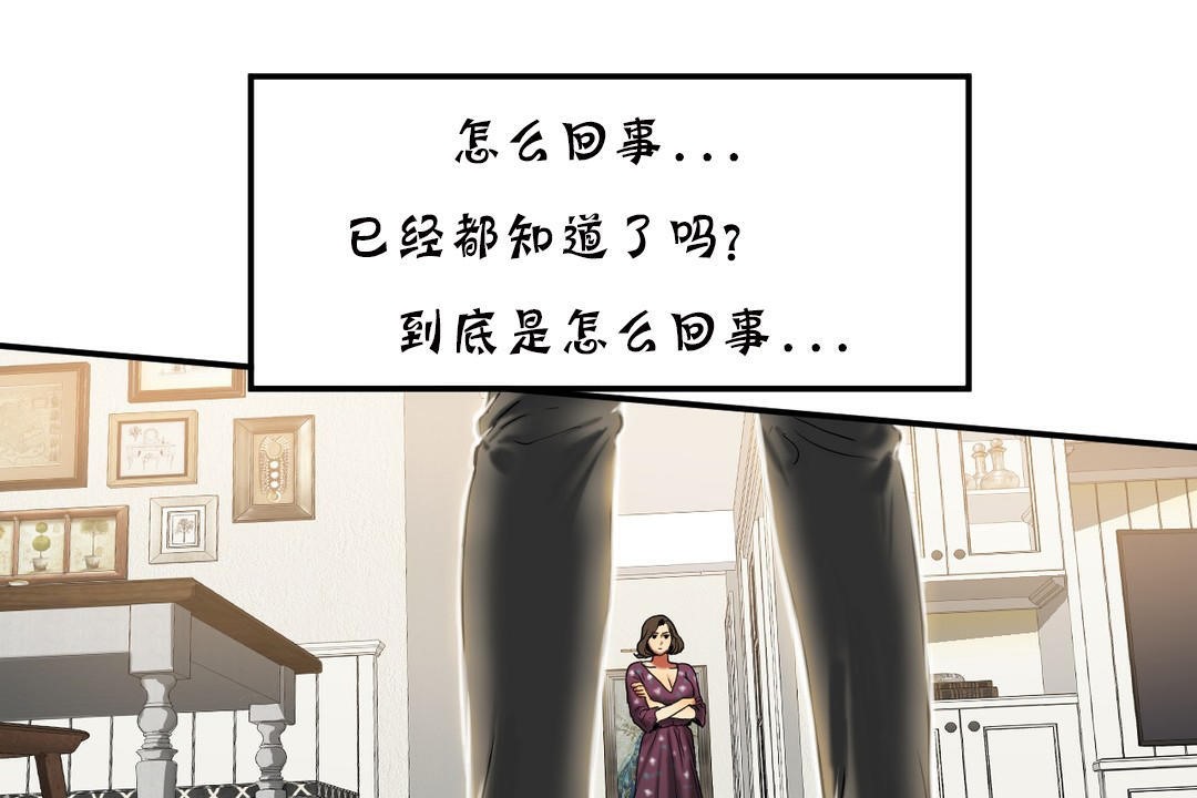 夫人的禮物第19話