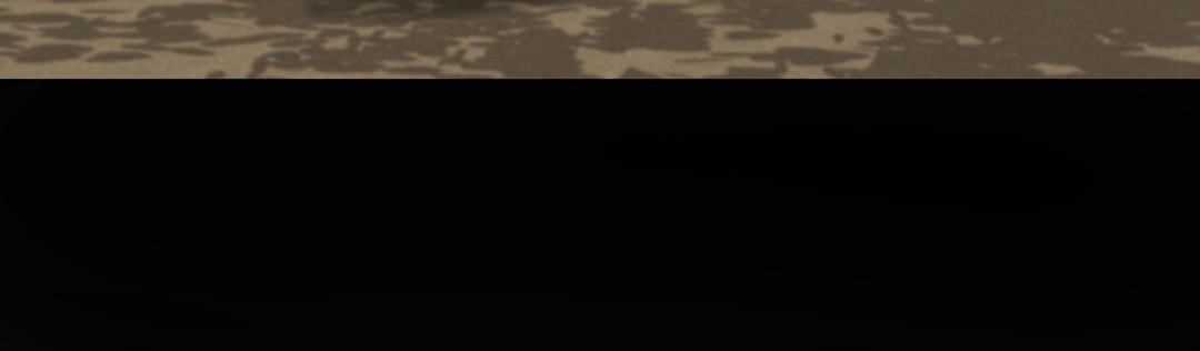 夫人的礼物第19话