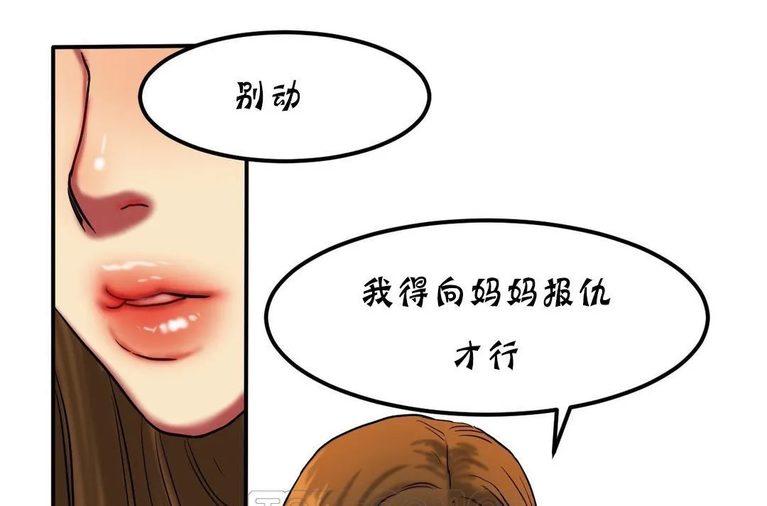 夫人的禮物第20話