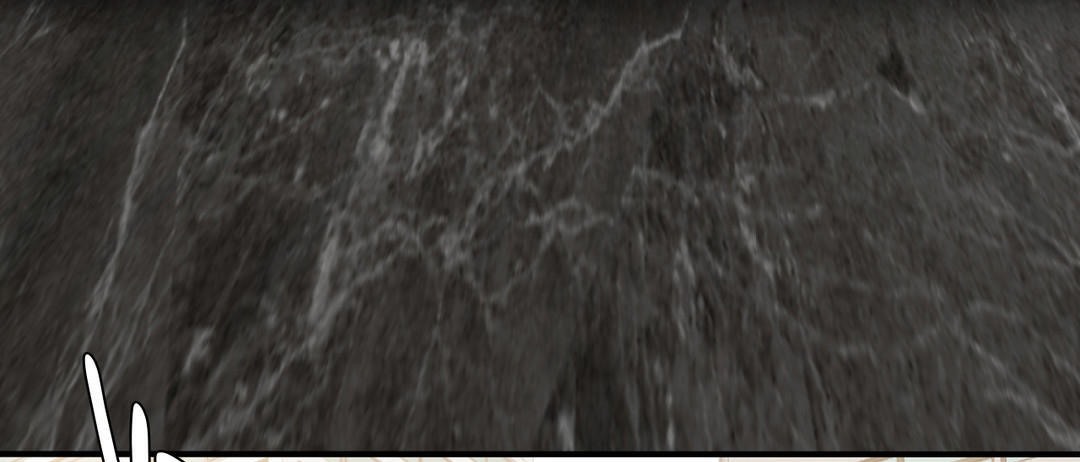 夫人的礼物第31话