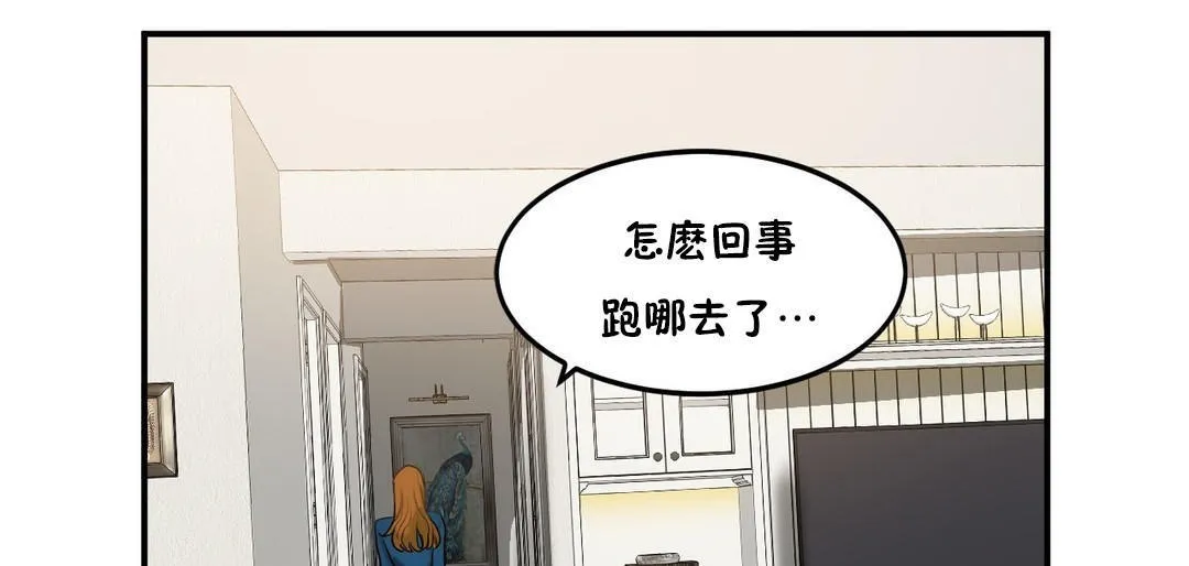 夫人的禮物第33話