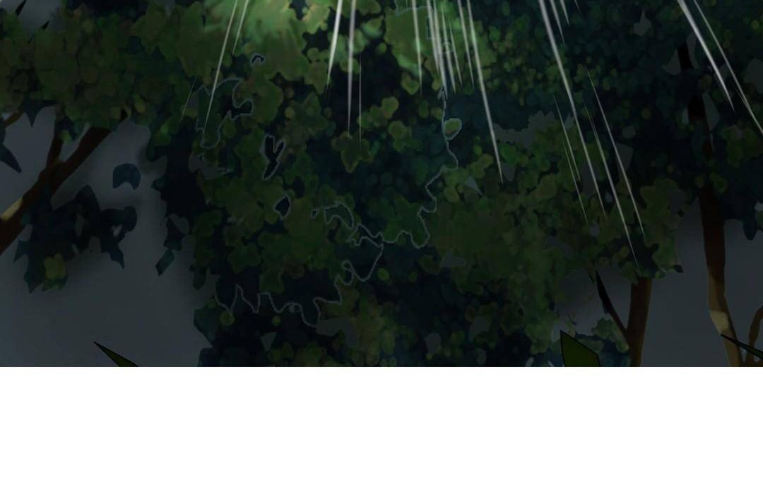 夫人的礼物第38话