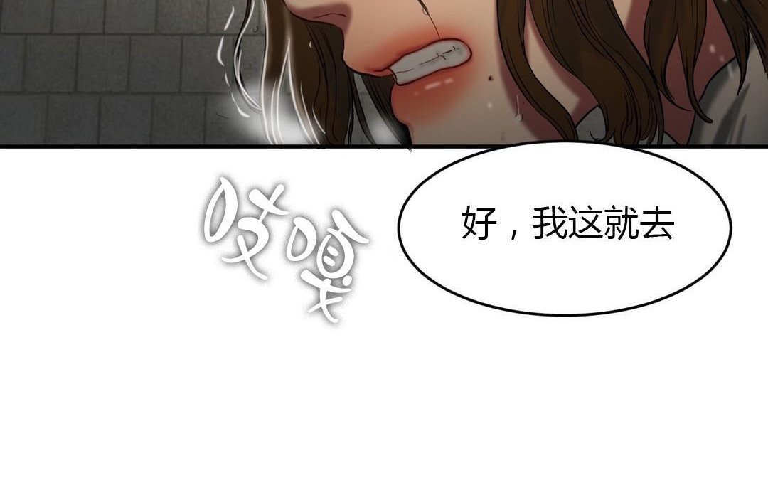 夫人的礼物第46话