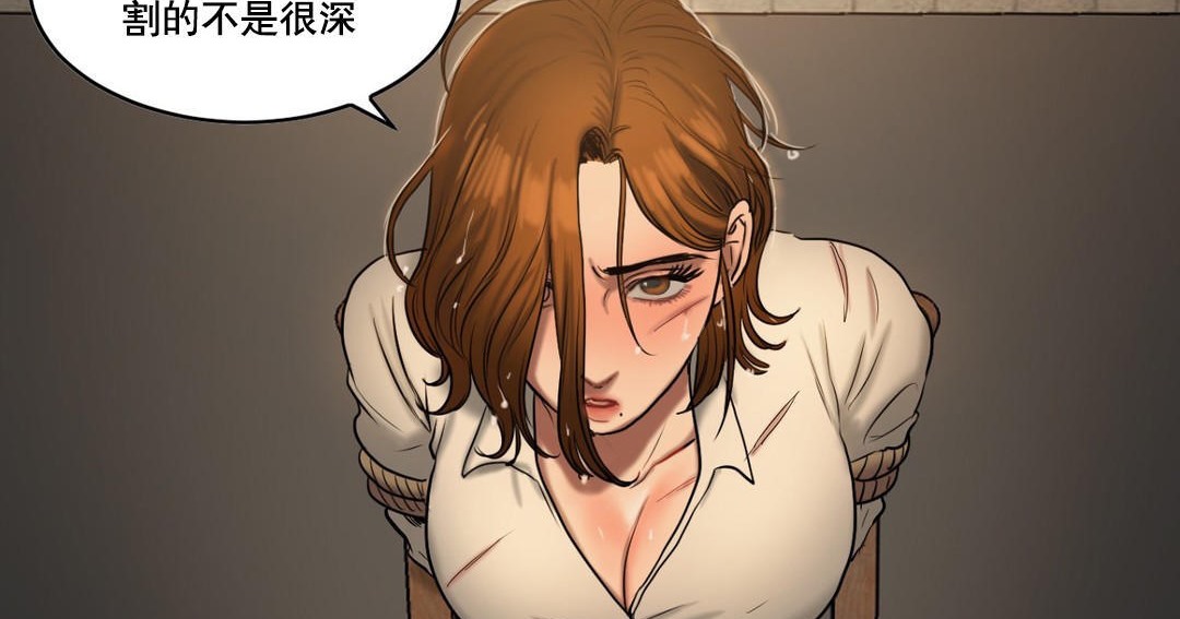 夫人的礼物第47话