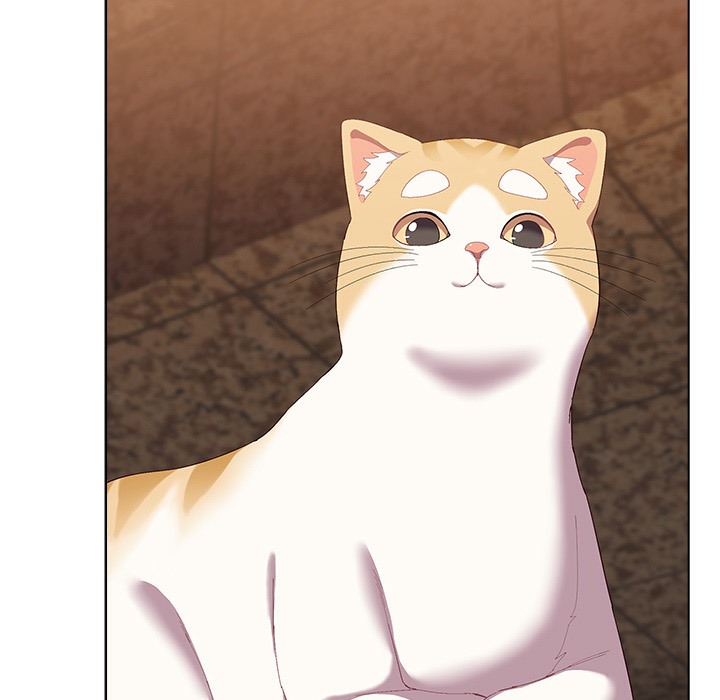 猫猫牵红线第1话