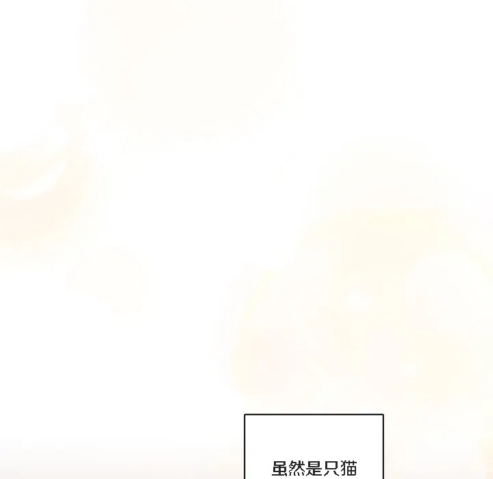 貓貓牽紅線第1話
