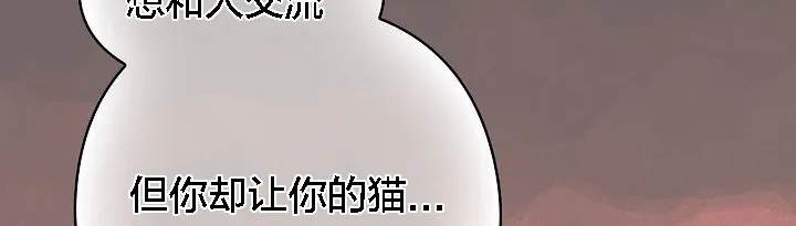 貓貓牽紅線第3話