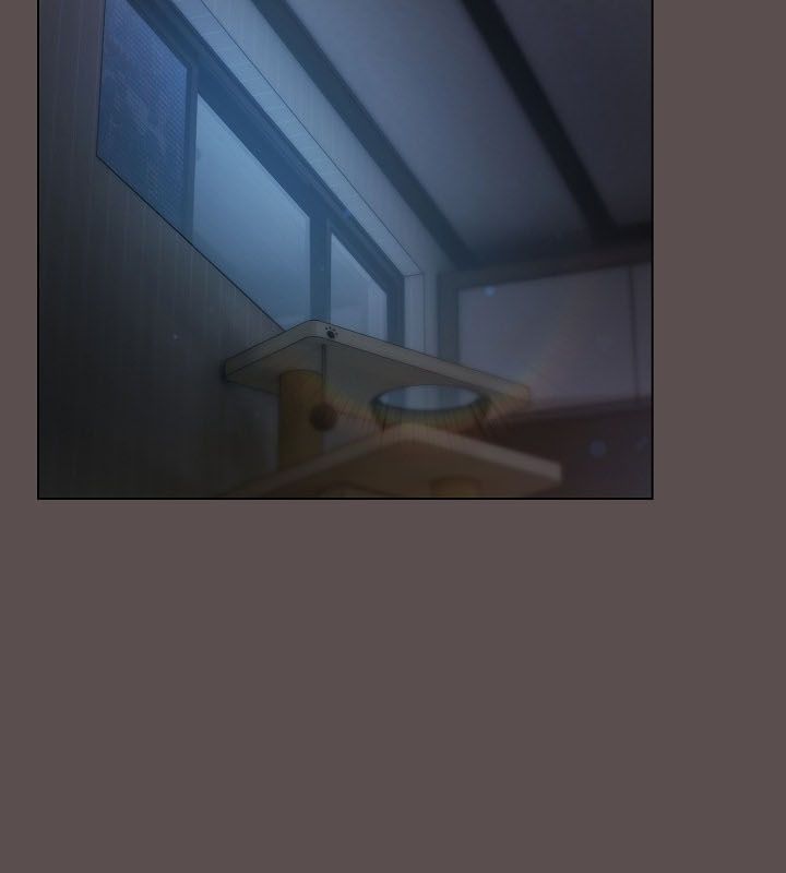 猫猫牵红线第10话