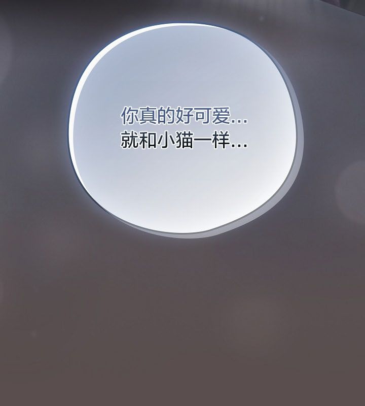 猫猫牵红线第10话