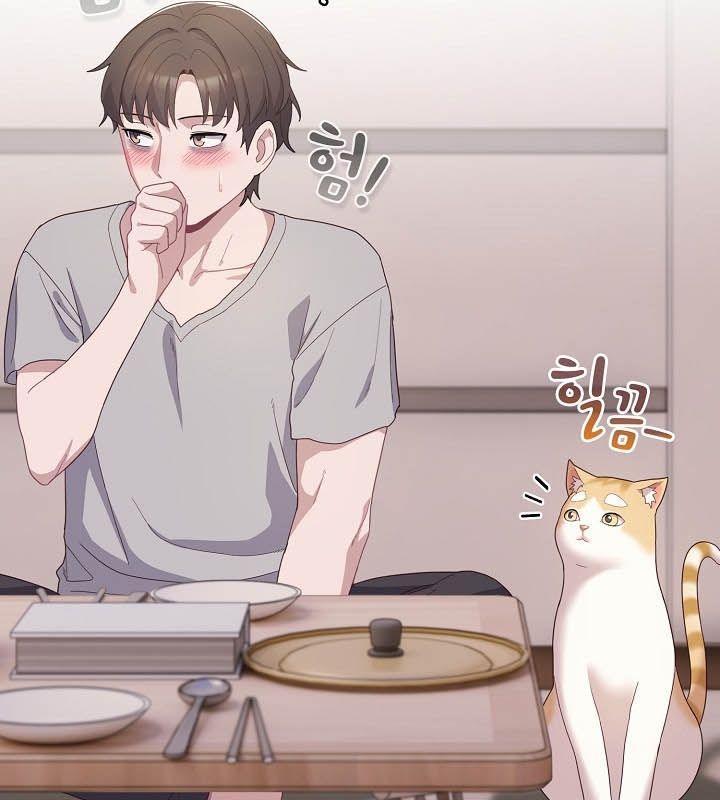 貓貓牽紅線第10話