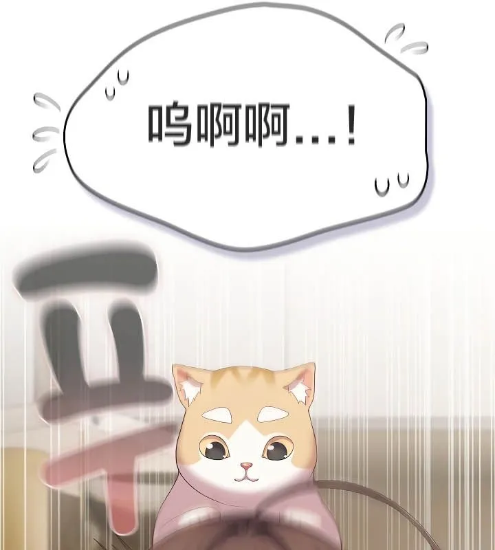 貓貓牽紅線第11話