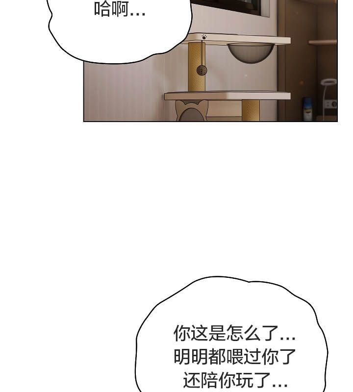 貓貓牽紅線第11話