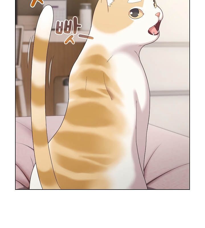 猫猫牵红线第11话