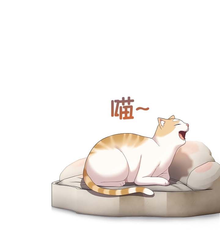 猫猫牵红线第11话