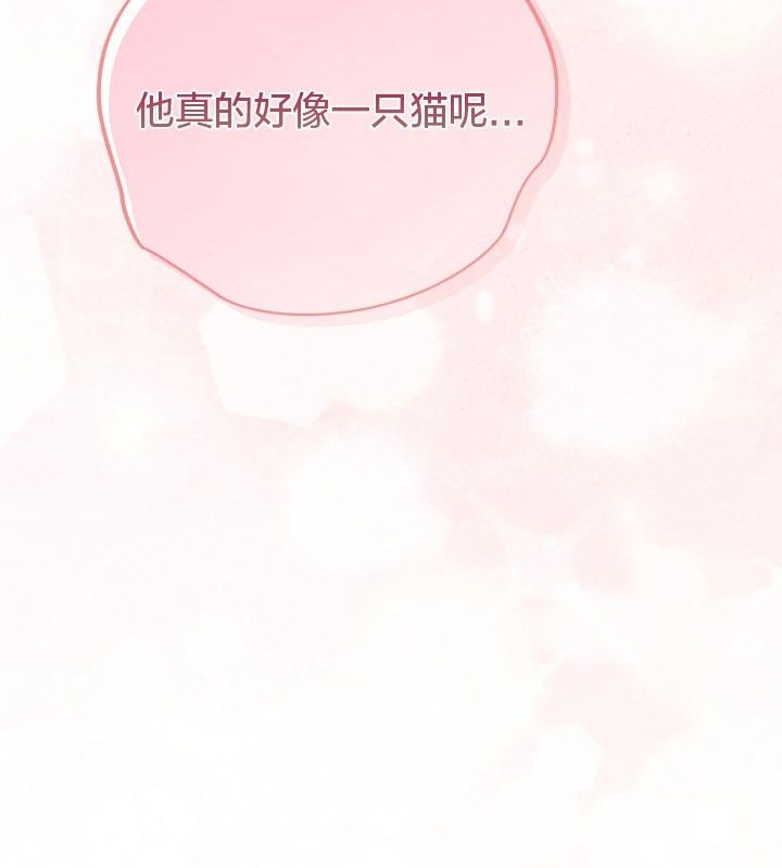 猫猫牵红线第12话