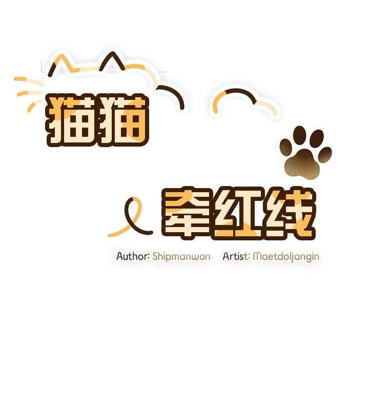 猫猫牵红线第13話