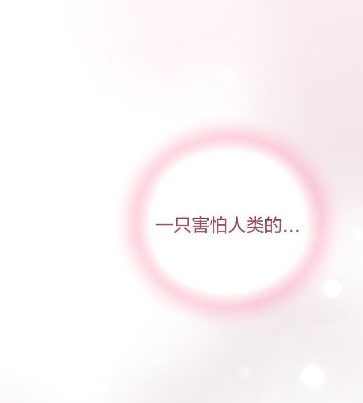 猫猫牵红线第13话