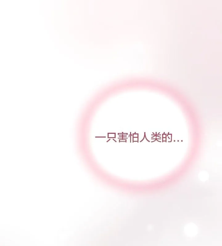 貓貓牽紅線第13話
