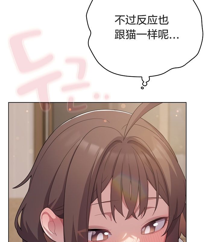 貓貓牽紅線第13話