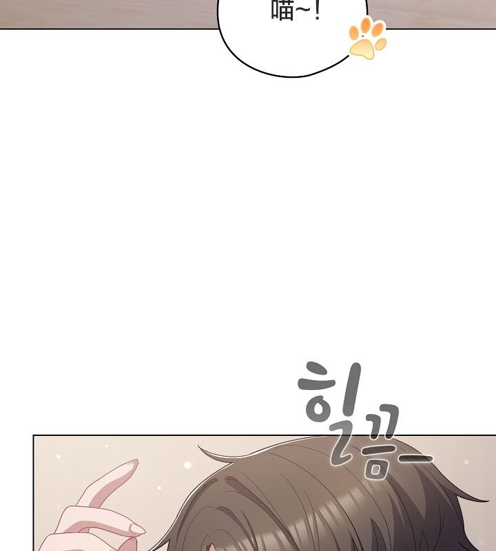 貓貓牽紅線第13話