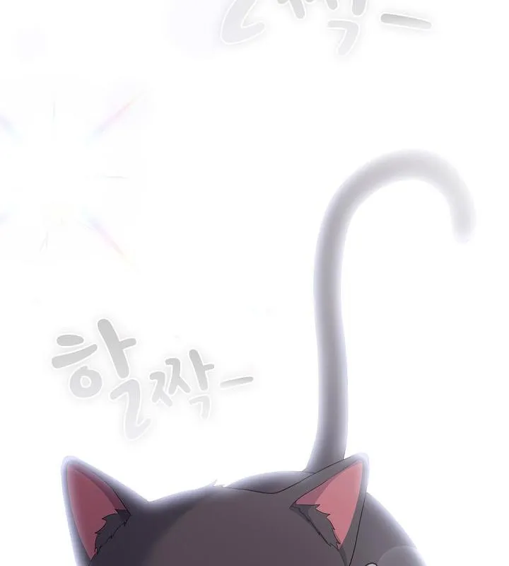 貓貓牽紅線第14話